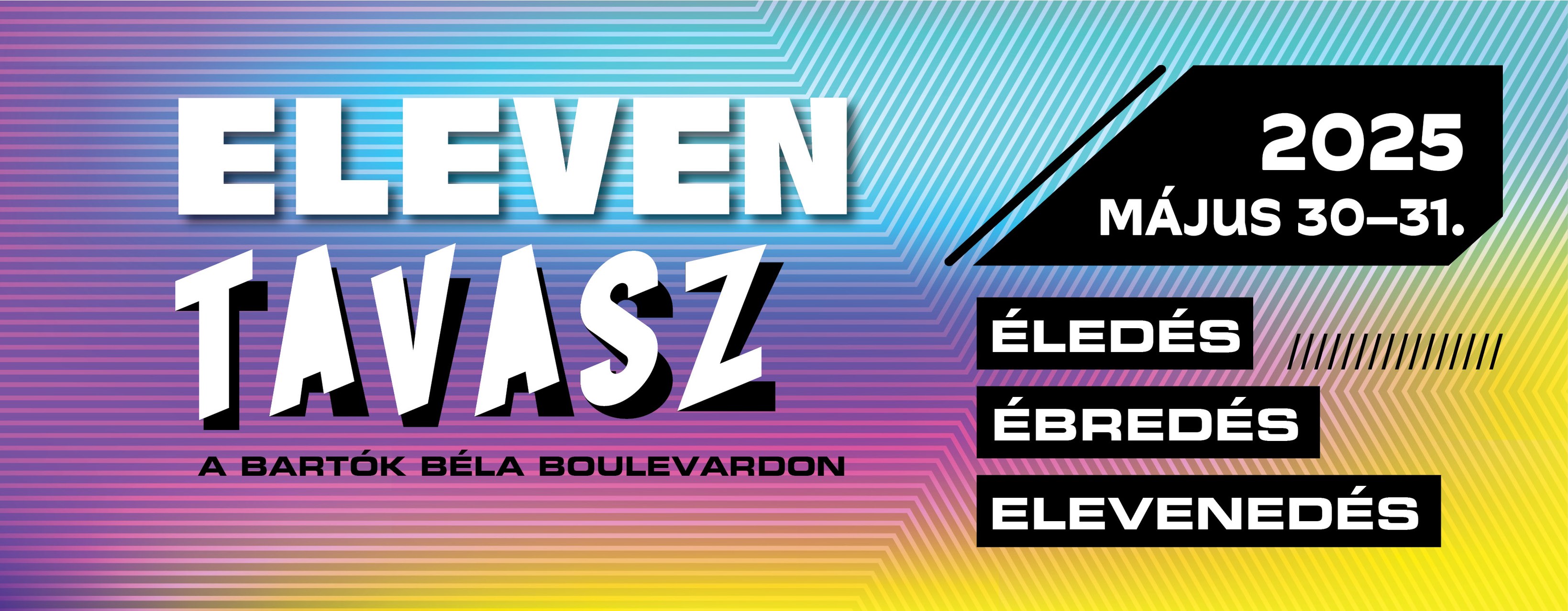 Eleven Tavasz 2025