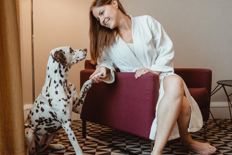 world's best pet-friendly hotel budapest 2025