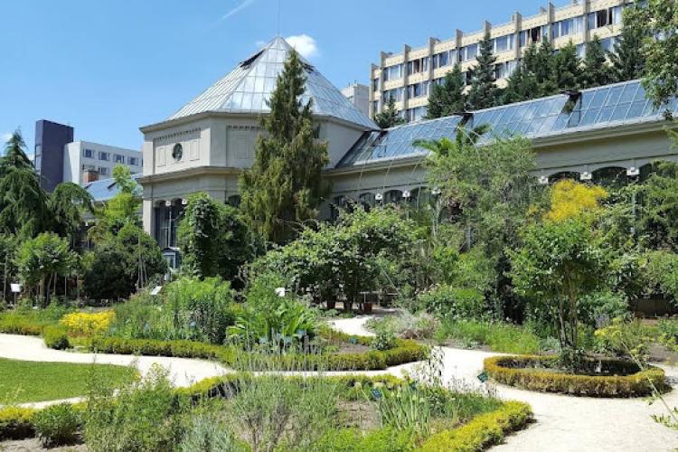 Fűvészkert – ELTE Botanical Garden