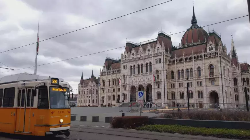 Budapest tram, transport