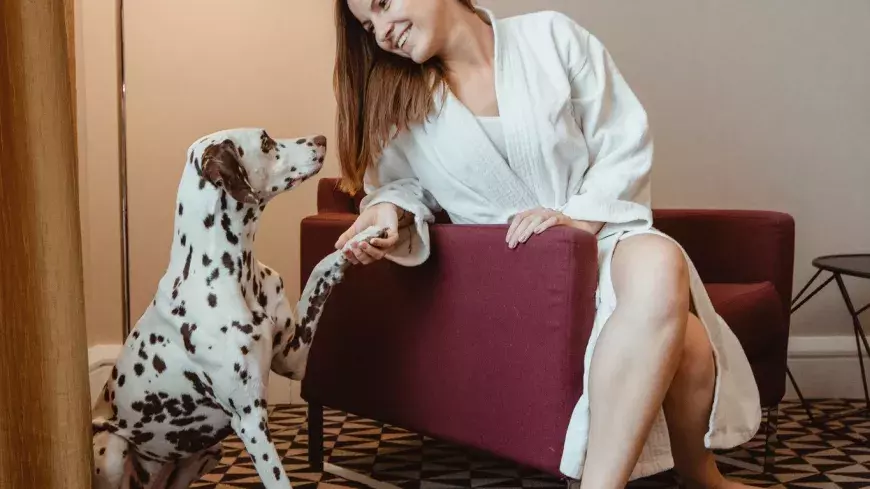 world's best pet-friendly hotel budapest 2025
