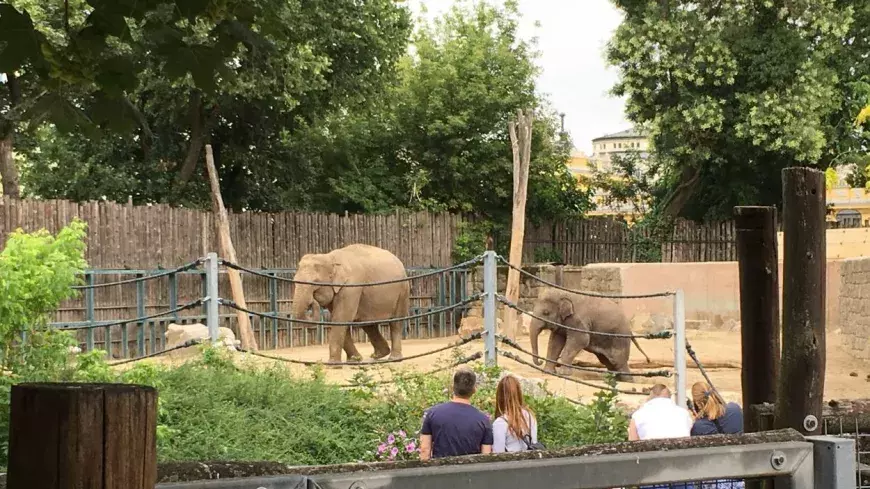 zoo budapest 2025