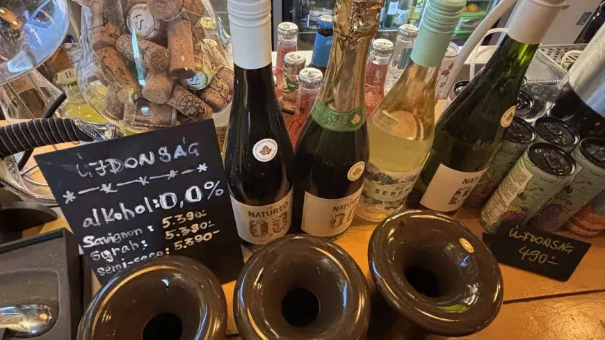van boris alcohol free wines