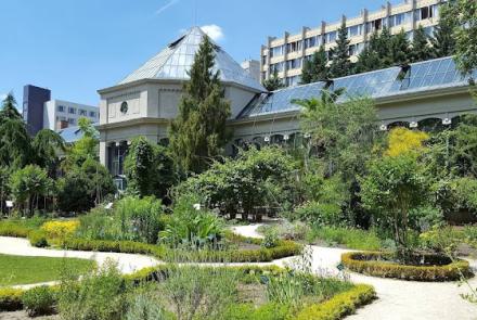 Fűvészkert – ELTE Botanical Garden